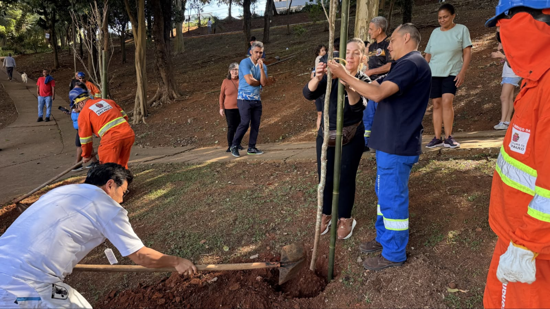 Subprefeito do Ipiranga ajudando no plantio de mudas na praça