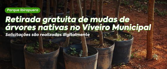 Card de divulgação da retirada gratuita de mudas de árvores nativas no Viveiro Municipal, localizado no Parque Ibirapuera. A imagem mostra diversas mudas de árvores em vasos plásticos pretos, organizadas sobre um solo de terra avermelhada, com troncos jovens e folhagens ao fundo. Sobre a fotografia, aparecem os textos: 