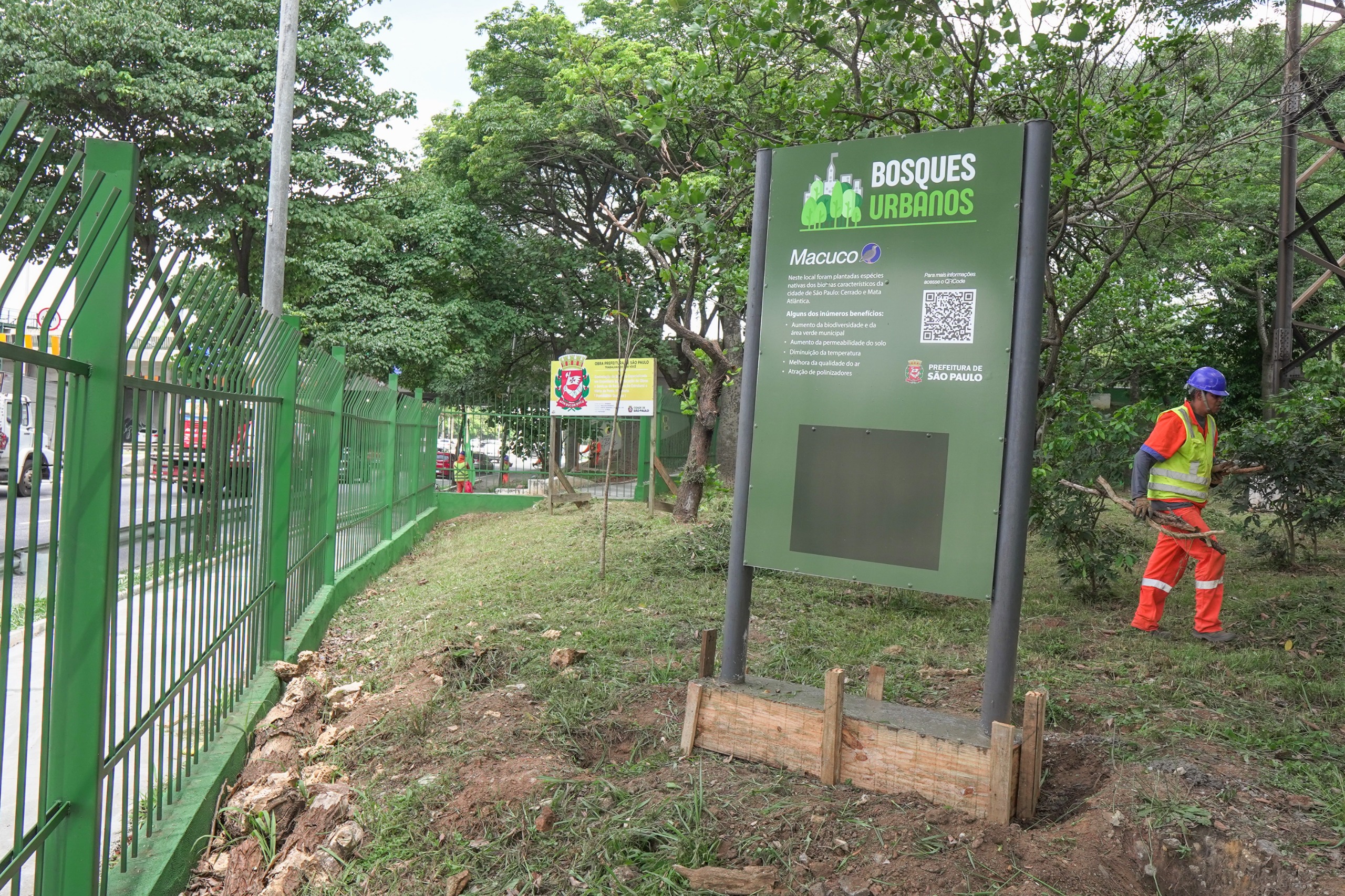 A foto mostra uma placa vertical verde escura instalada em uma área gramada e arborizada. No topo da placa, lê-se "BOSQUES URBANOS" em branco e verde claro, seguido pelo nome "Macuco". O texto explica que no local foram plantadas espécies nativas e lista benefícios como o aumento da biodiversidade e a melhoria da qualidade do ar. Há também um QR Code e o logotipo da Prefeitura de São Paulo. A placa está fixada em uma base de concreto ainda em fase de secagem, protegida por ripas de madeira. À esquerda, uma grade metálica verde separa o bosque de uma via movimentada onde se vê um caminhão branco. À direita, um funcionário com uniforme laranja e capacete azul caminha carregando galhos secos. Ao fundo, uma placa amarela menor da prefeitura e árvores altas completam a cena sob um céu claro
